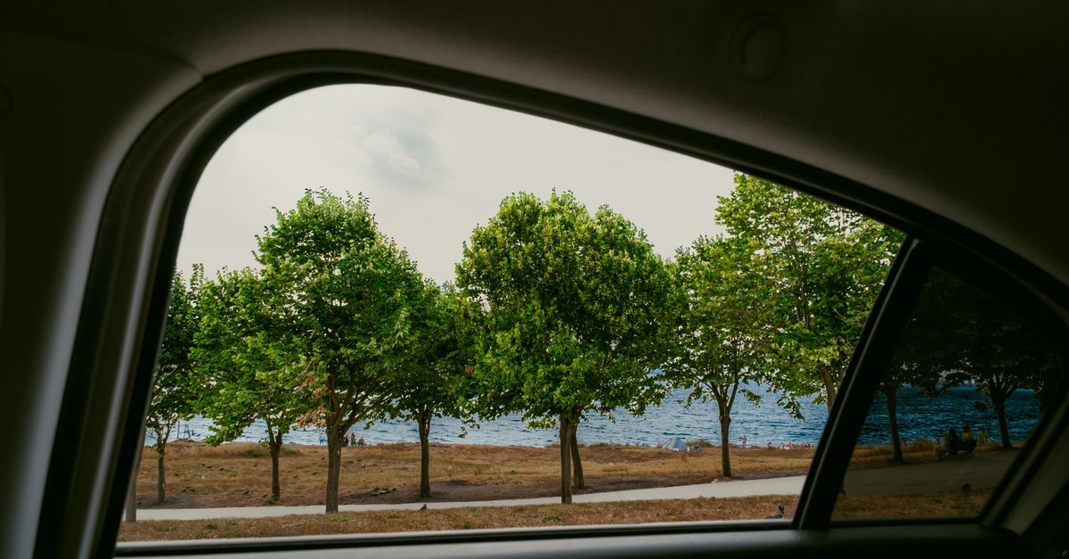 Benefits of Choosing Carbon Window Tinting for Homes