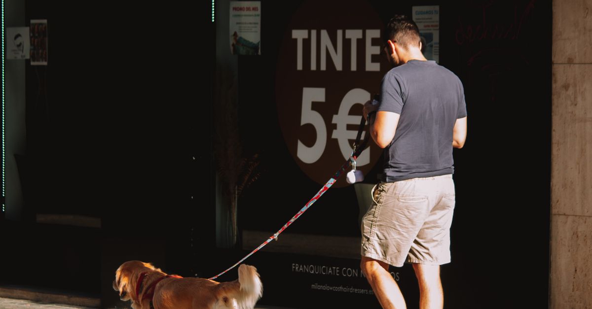 Why UV Protection Should Be a Priority in Window Tinting Choices